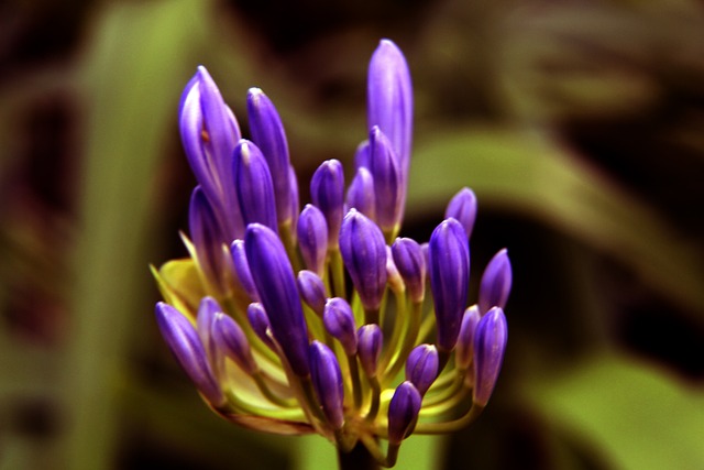 穆里尼奥等 穆里尼奥等