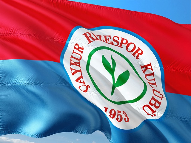 马雷斯卡：我们以正确方式开始了比赛 不能每场都依赖帕尔默.