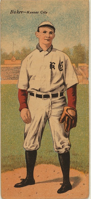 的水上运动 的水上运动