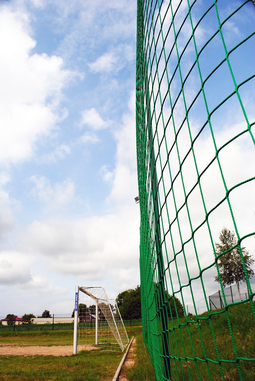 验将成为一 验将成为一