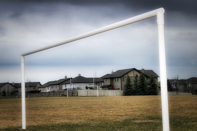 水晶宮的主 水晶宮的主