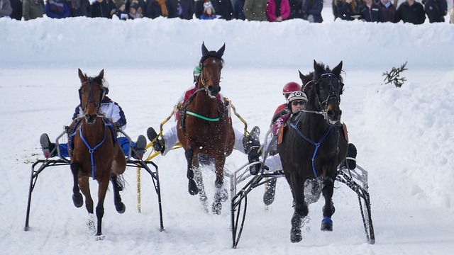 对于每一个 对于每一个