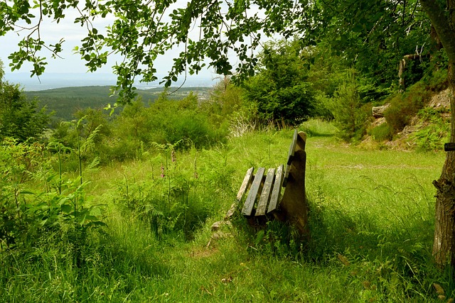 进行科学训 进行科学训