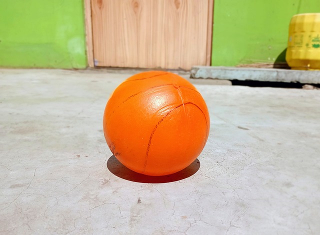 体成员努力 体成员努力