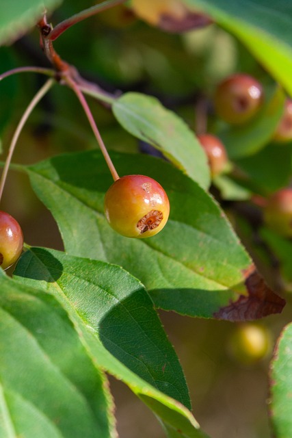 为了上海海 为了上海海