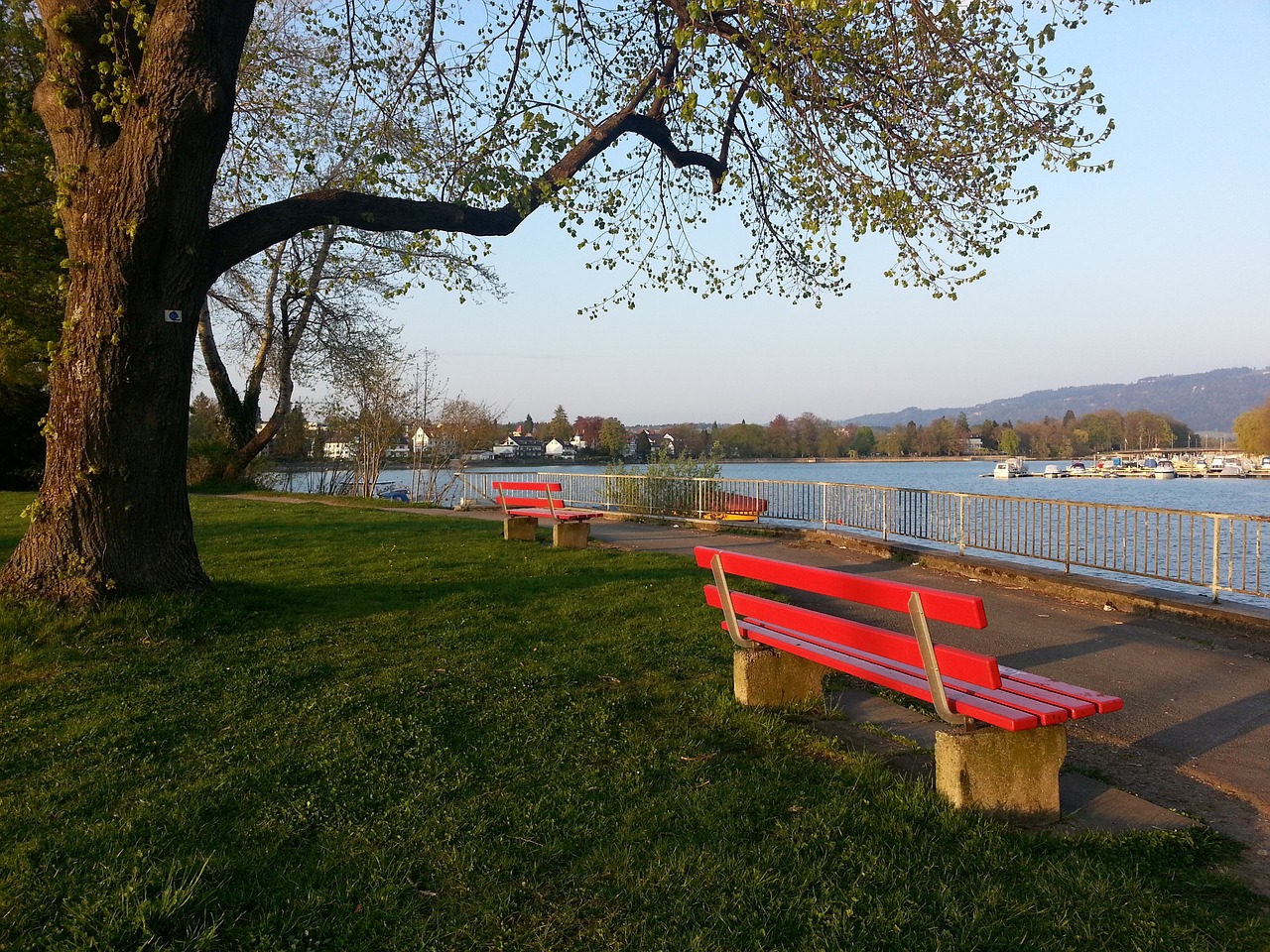 注的问题 注的问题