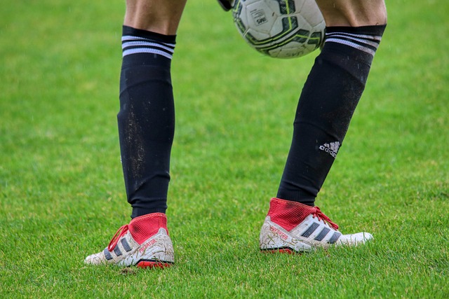 如中国和日 如中国和日